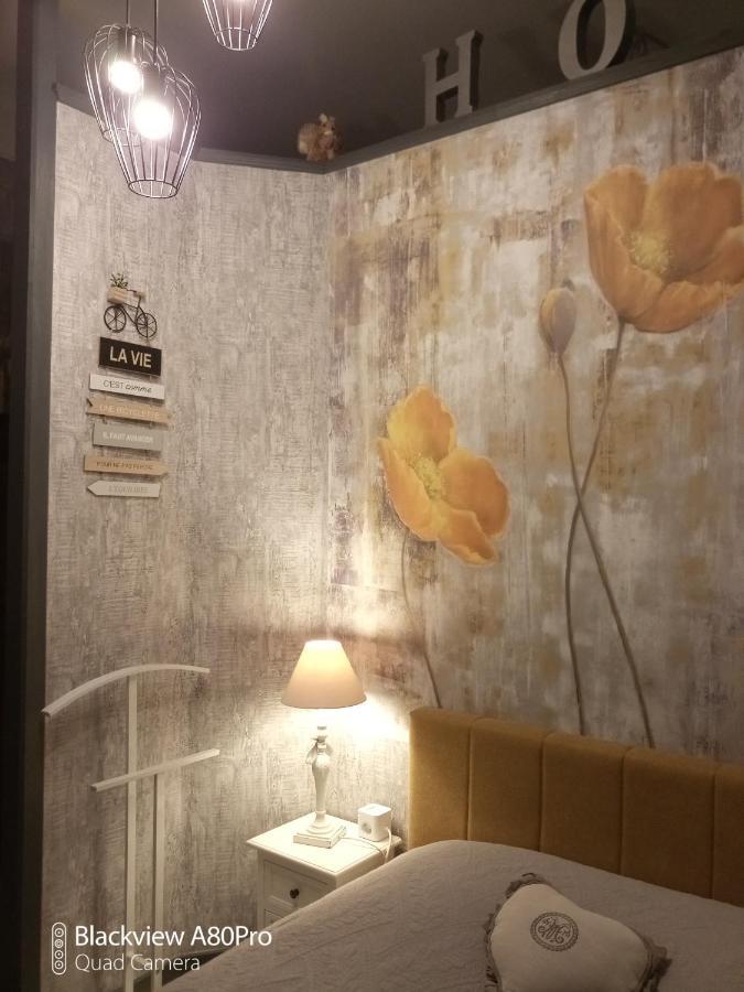 Studio Malou, Cuisine, Salle D'Eau, Terrasse Amenagee Olliergues المظهر الخارجي الصورة