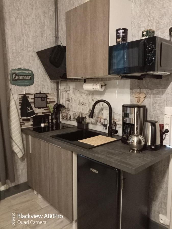 Studio Malou, Cuisine, Salle D'Eau, Terrasse Amenagee Olliergues المظهر الخارجي الصورة